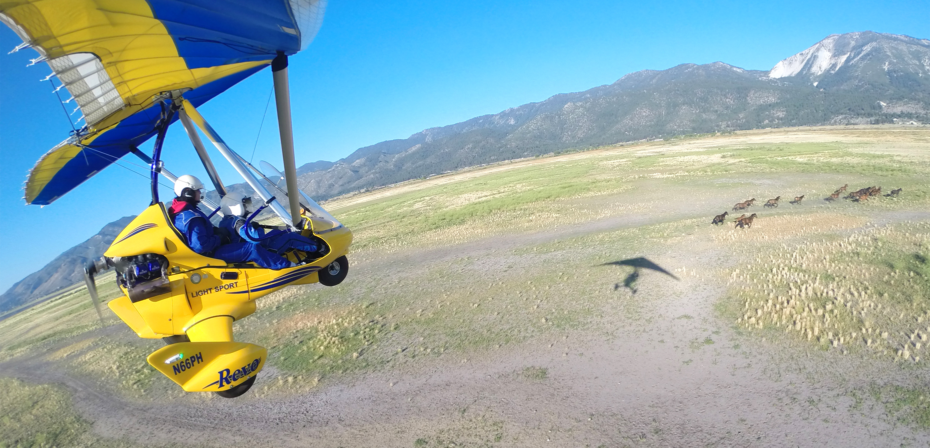 Hang Gliding Tahoe Following Wild Mustang in Nevada Desert